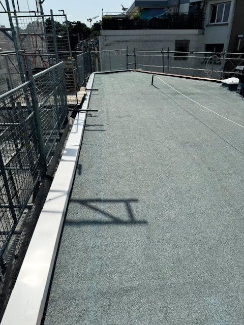 Pictet de Rochemont-3